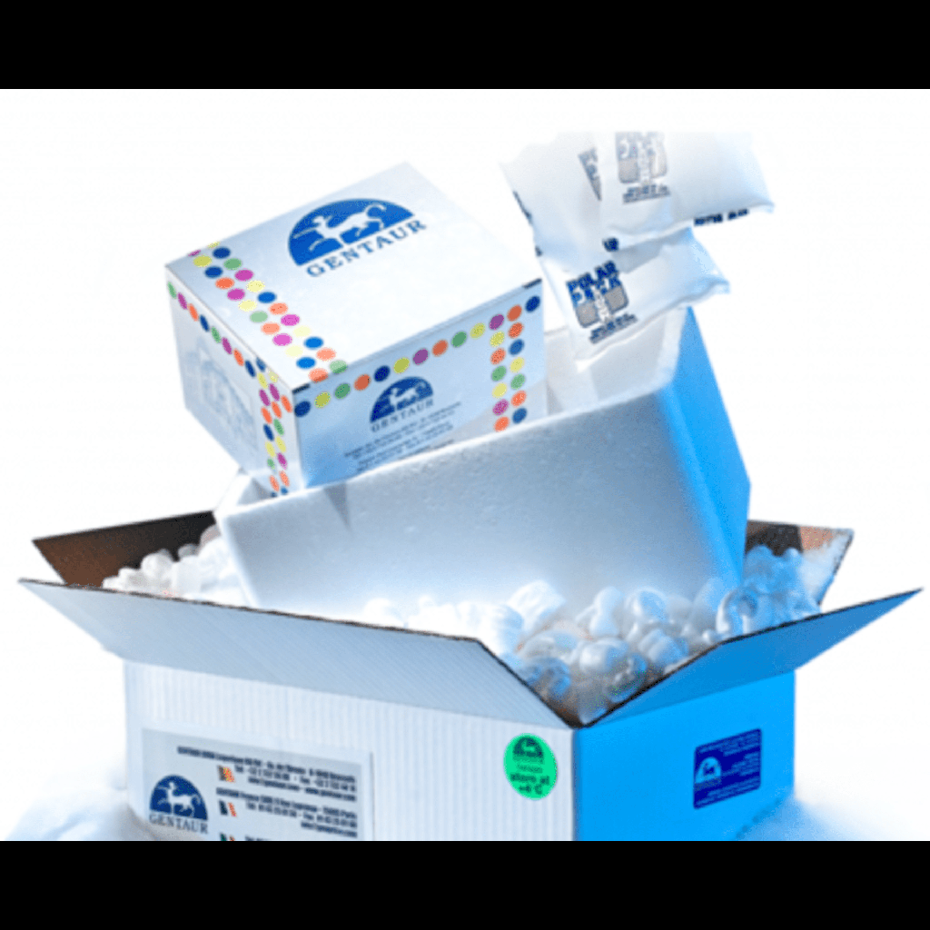 Asize:673 Luciferase Reporter Cell Line, 1 vial